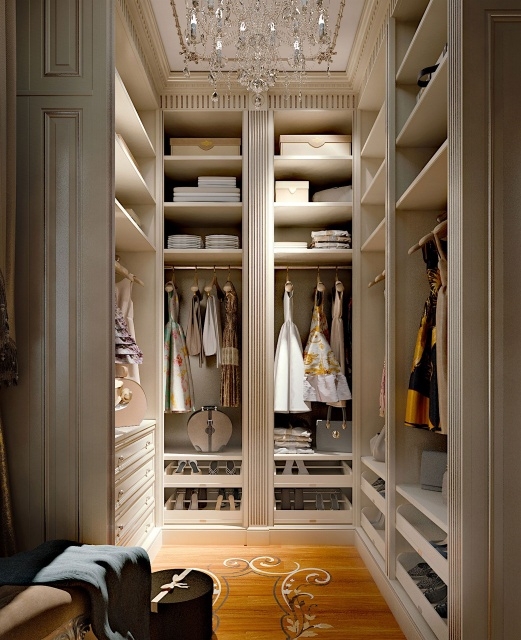 Amazing Little Walk In Closet Image