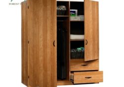 Amazing Mini Wardrobe Closet Pics