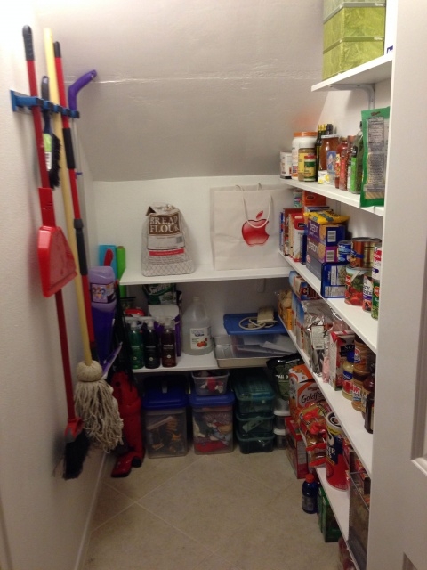 Amazing Under Stair Closet Storage Pic