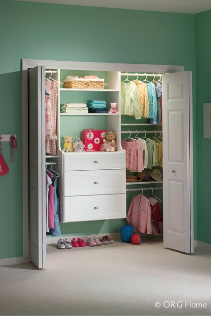 Amazing Wall Mounted Closet Organizer Photo