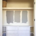 Amazingly Built In Closet Ideas Pic