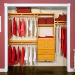 Amazingly Home Closet Organizer Photo