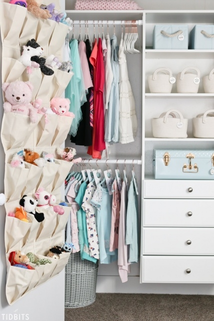 Amazingly Kid Closet Organization Ideas Pics