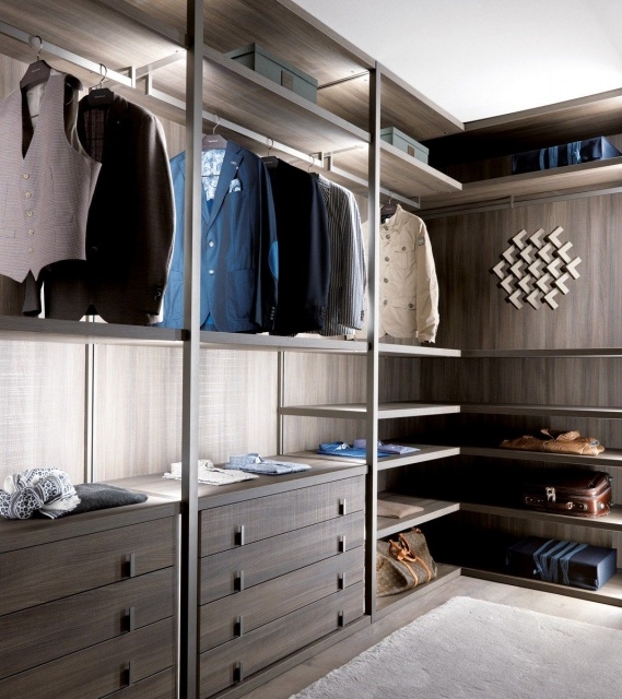 Amazingly Walk In Closet Glass Pics