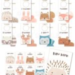 Astonishing Baby Closet Dividers Images