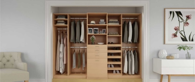 Astonishing Bedroom Closet Design Picture