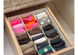 Astonishing Closet Drawer Organizer Pics