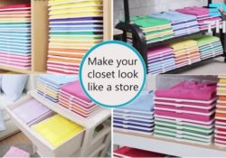Astonishing Closet Shirt Organizer Picture