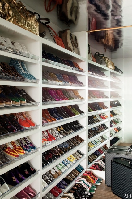 Astonishing Closet Shoe Storage Ideas Picture