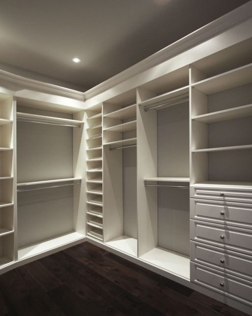 Astonishing Design Closet Organizer Photo