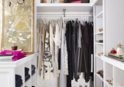 Astonishing Mini Walk In Closet Pics
