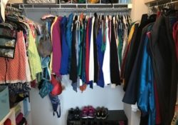 Attractive Closet Top Shelf Organizer Images