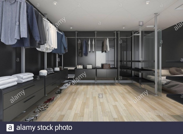 Attractive Dark Walk In Closet Photo