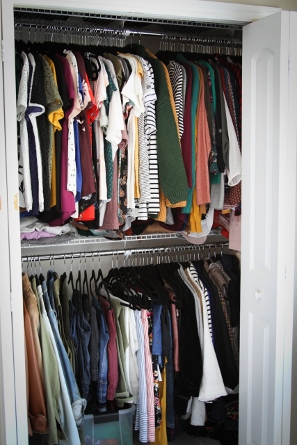 Attractive How To Organize My Closet Pics
