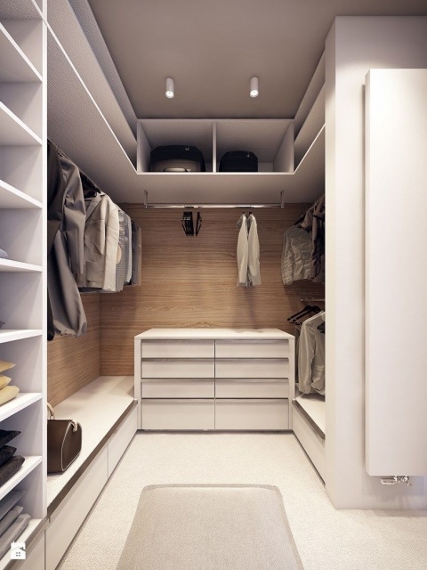 Awesome Simple Walk In Closet Design Image