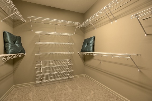 Best Basement Walk In Closet Picture