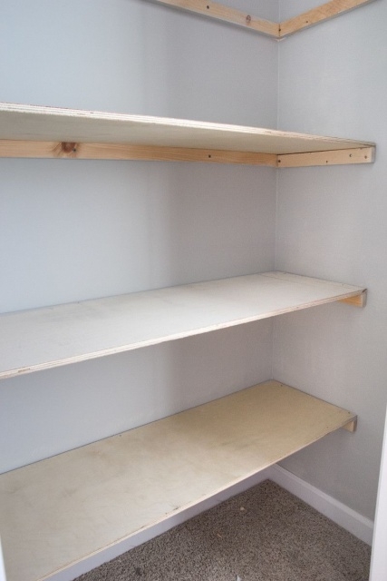 Best Built In Closet Shelves Pictures