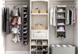 Best Closet Purse Organizer Pics