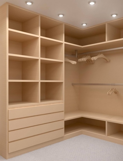 Best Great Closet Ideas Pic