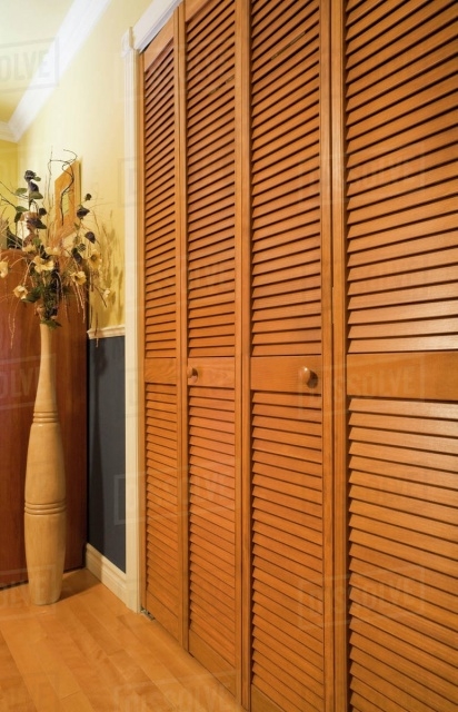 Best Louvered Closet Doors Picture
