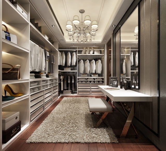 Best Luxury Walk In Closet Photos