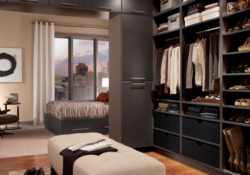 Best Modern Master Bedroom With Walk In Closet Picture
