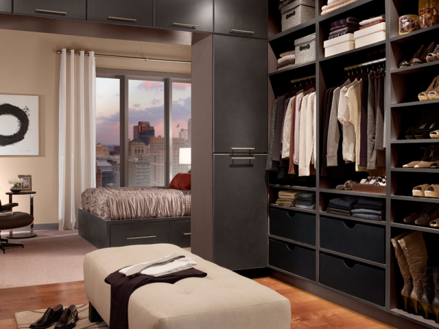 Best Modern Master Bedroom With Walk In Closet Picture