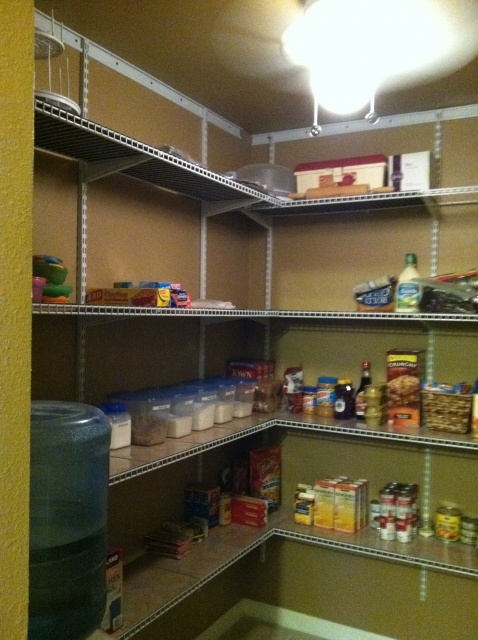 Best Pantry Closet Shelving Pic