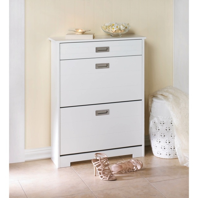 Best Slim Shoe Storage Cabinet Pic