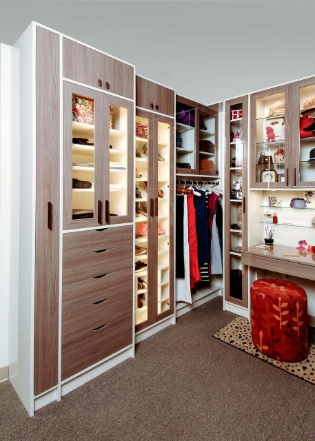 Best Walk In Closet For Women Image