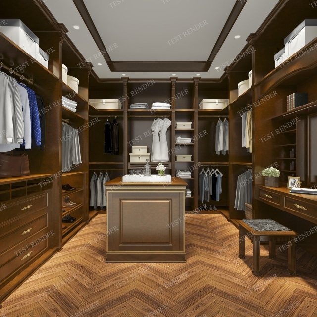 Best Walk In Wardrobe Luxury Picture