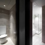 Classy Closet With Bathroom Design Pic
