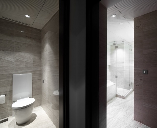 Classy Closet With Bathroom Design Pic