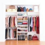 Contemporary Maximize Closet Space Pic
