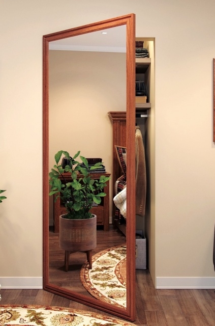 Contemporary Walk In Closet Doors Pic