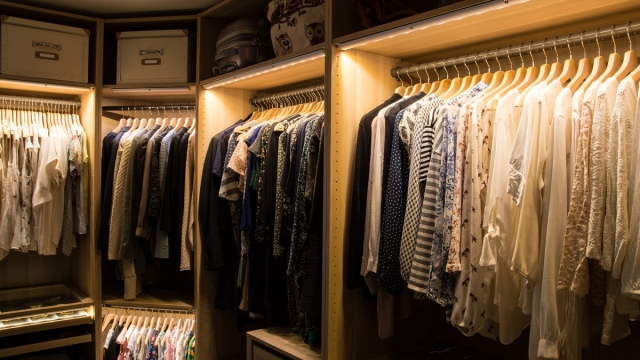 Contemporary Walk In Closet Lighting Picture
