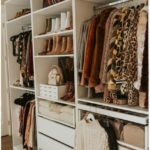 Contemporary Women's Walk In Closet Ideas Photos