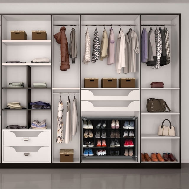 Creative Shoe Closet Organizer Photo