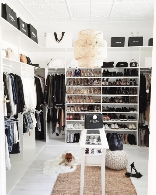 Easy Walk In Closet Budget Picture
