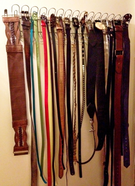 Elegant Closet Belt Organizer Pic