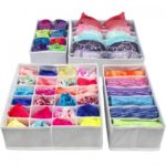 Elegant Closet Underwear Organizer Images