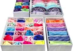 Elegant Closet Underwear Organizer Images