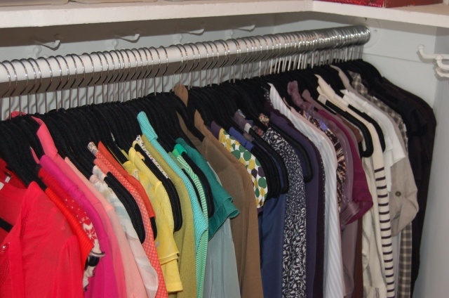 Elegant Color Organized Closet Picture