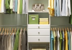 Elegant Martha Stewart Closet Design Pic