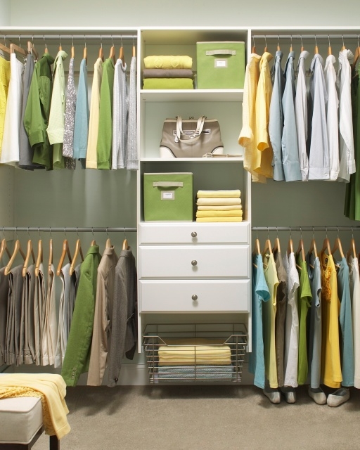 Elegant Martha Stewart Closet Design Pic