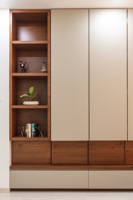 Elegant Wardrobe Shelf Design Pics