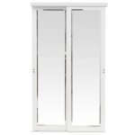 Gorgeous Sliding Mirror Closet Doors Images