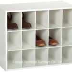 Great Shoe Cube Organizer Photo