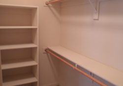 Great Walk In Closet Shelving Ideas Photos