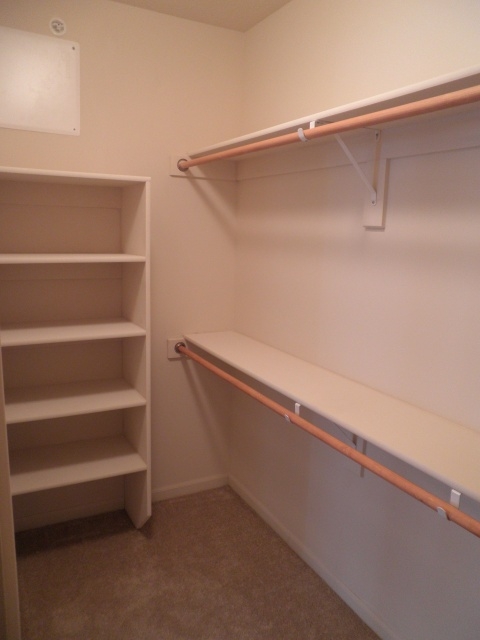 Great Walk In Closet Shelving Ideas Photos